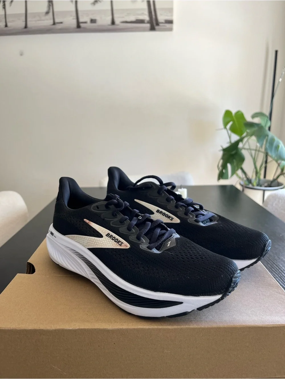 Brooks Black & White Ghost Running Shoes
